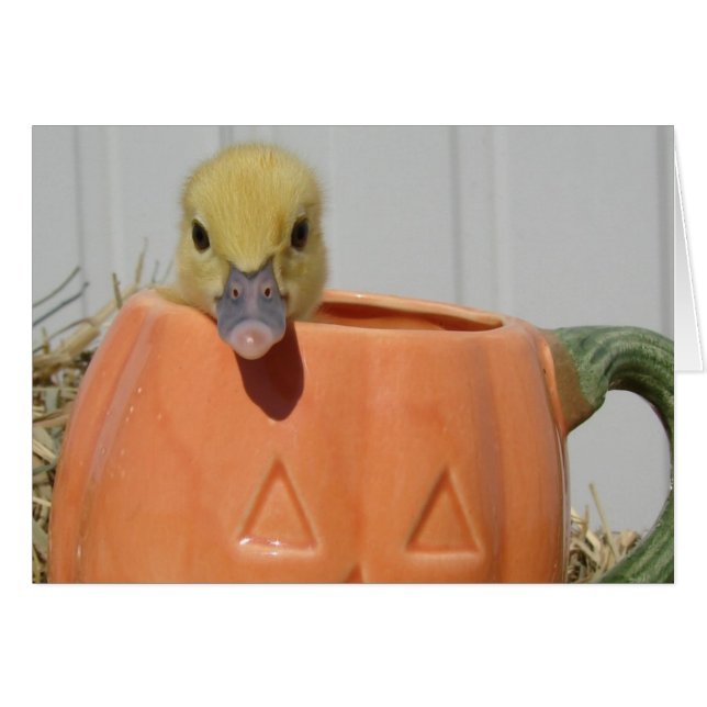 Cartão Pumpkin Spice (Frente Horizontal)