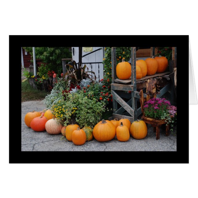 Cartão Pumpkin Stand (Frente Horizontal)