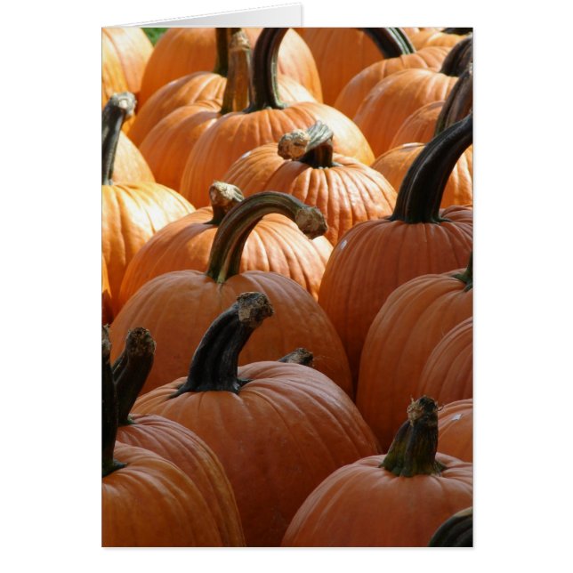 Cartão Pumpkins (Frente)