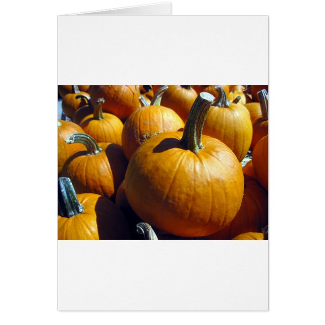 Cartão Pumpkins Laranja (Frente)