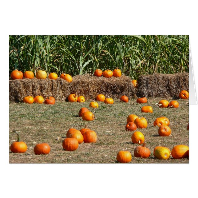 Cartão Pumpkins, Milho e Fotografia de Colheita de outono (Frente Horizontal)
