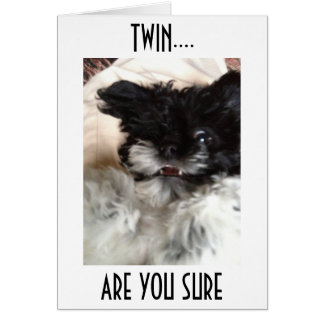 CARTÃO PUP CONFUSO DIZ COMO VOCÊ PODE SER **60** TWIN?