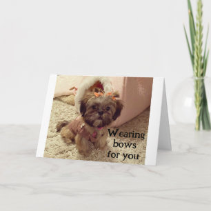 CARTÃO PUP VESTE OS ARCOS NO ANIVERSÁRIO