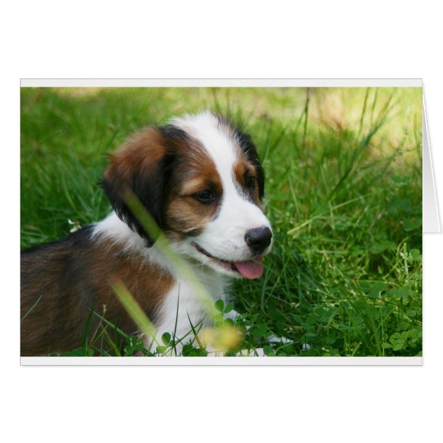 Cartão Puppy (Frente Horizontal)