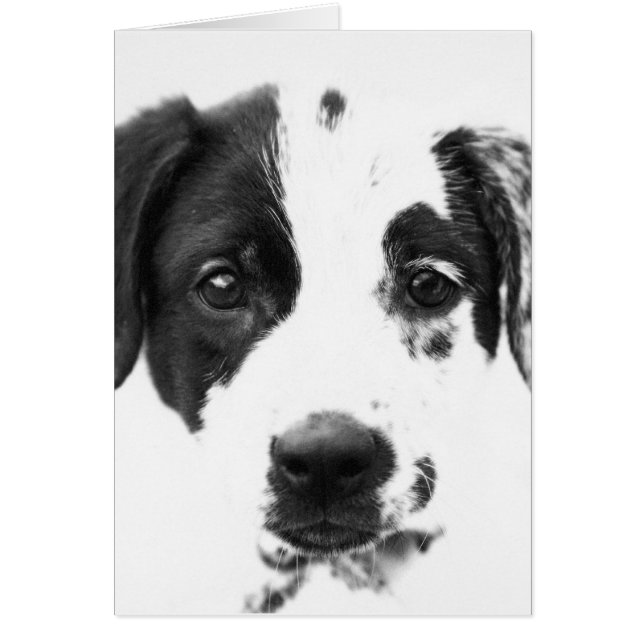 Cartão Puppy (Frente)