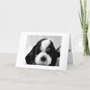 CARTÃO PUPPY DIZ: "DIGA QUE NÃO É TÃO "SOBRE A COLINA?"