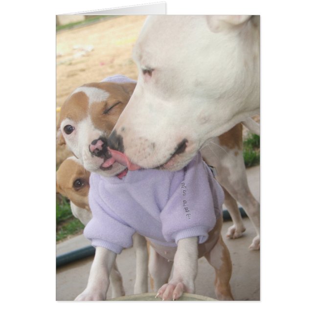 Cartão Puppy Love (Frente)