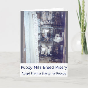 Cartão Puppy Mills Breed Misery Card