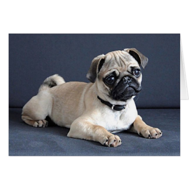 Cartão Puppy No Soquinho (Frente Horizontal)