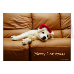 Cartão Puppy veste chapéu de natal e deita no sofá