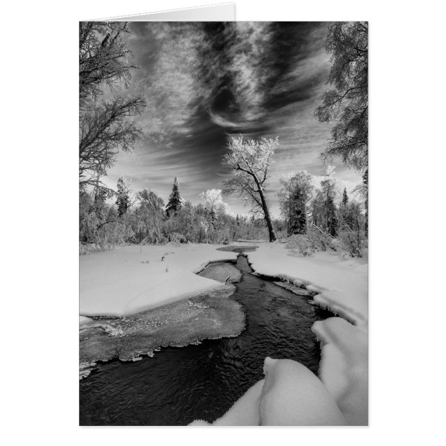 Cartão Pure Campbell Creek (Frente)