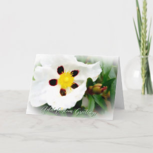 Cartão Pure White & Bright Blossom flower Greeting Card