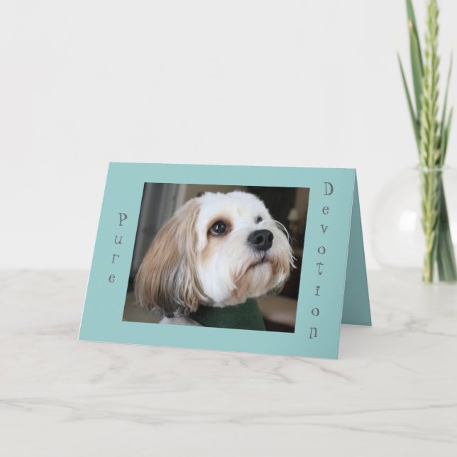 Cartão puro da devoção (Frente)