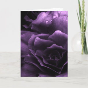 Cartão Purple Close Up of a Double Begonia