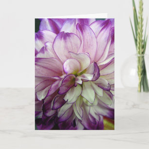 Cartão Purple Dahlia Design Blank Notecard