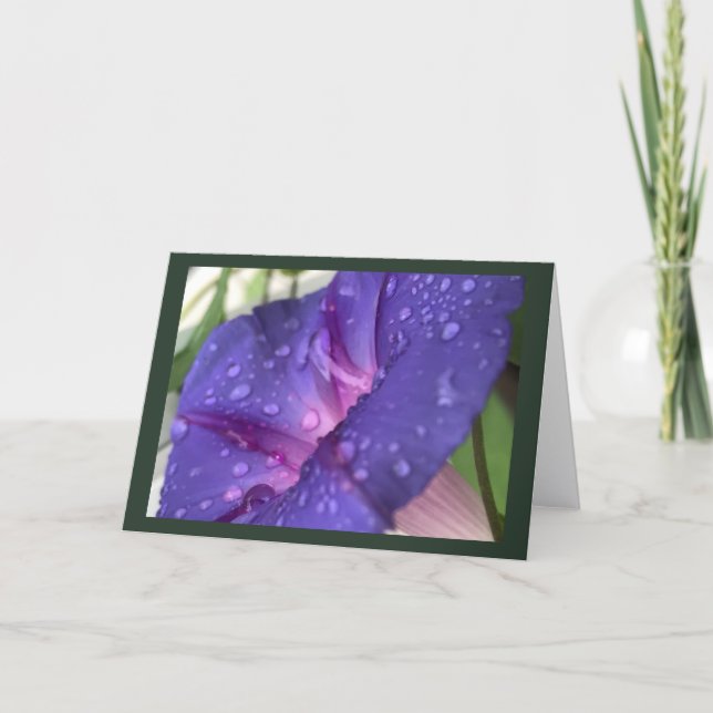 Cartão Purple Dewdrop Morning Glory Blank (Frente)
