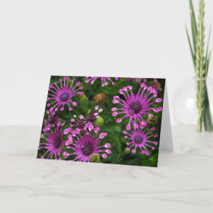 Cartão Purple Firework Flowers