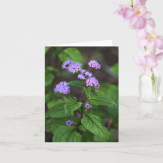 Cartão Purple Flowers Card