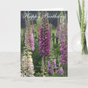 Cartão Purple foxgloves ... card