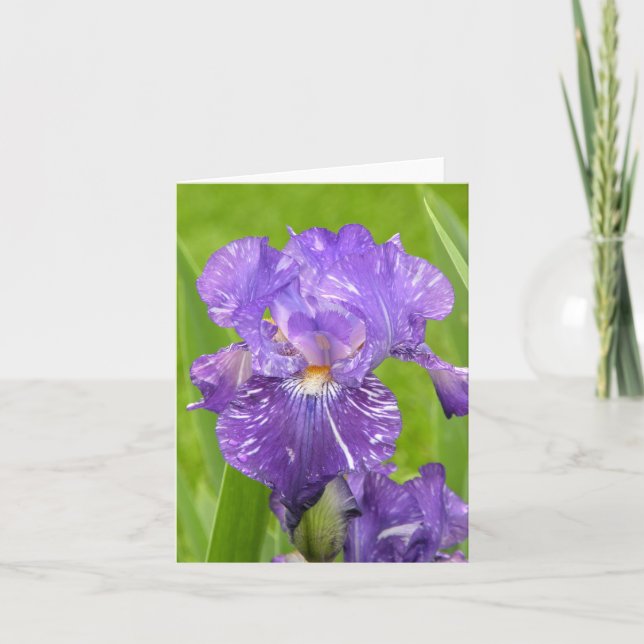 Cartão Purple Iris (Frente)