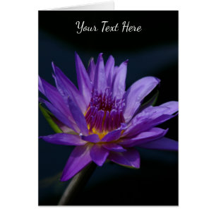 Cartão Purple Lotus Waterlily