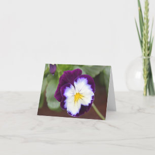 Cartão Purple Pansy Note Cards, blank inside