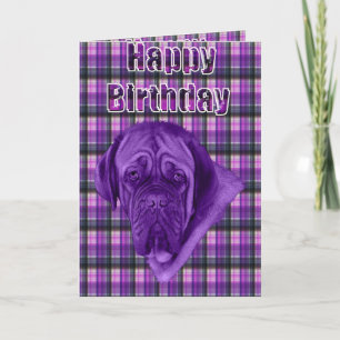 Cartão Purple Tartan Dogue De Bordeaux Dog,