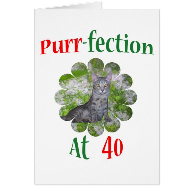 Cartão Purr-fection 40 (Frente)