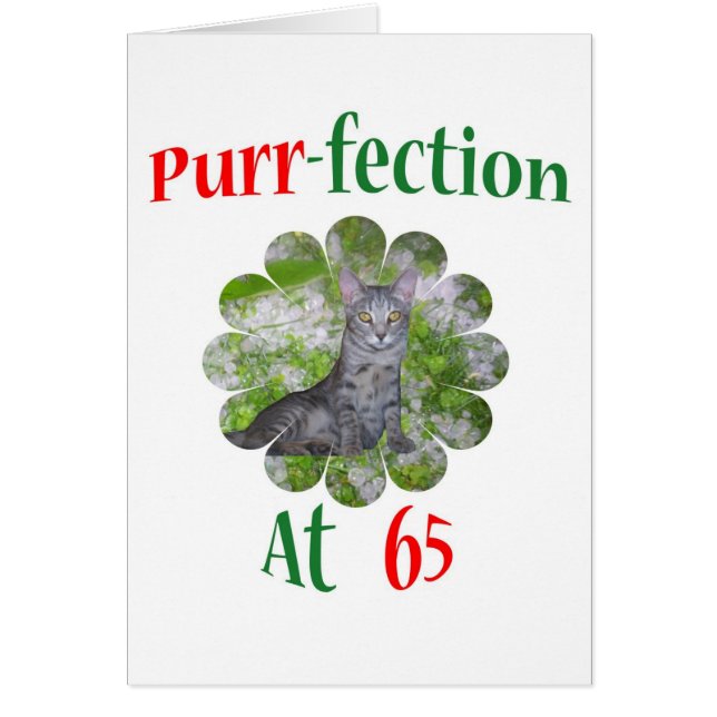 Cartão Purr-fection 65 (Frente)