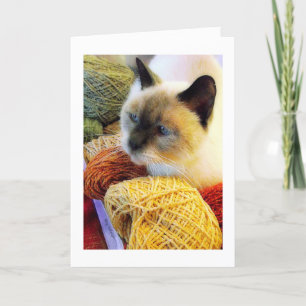 Cartão Purrfect Birthday, Siamese Cat in Yarn