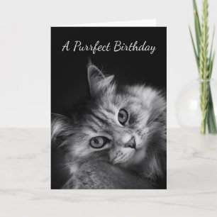 Cartão Purrfect Birthday Wishes Card
