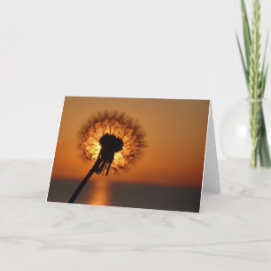 Cartão Pusteblume / Dandelion