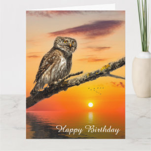 Cartão Pygmy Owl