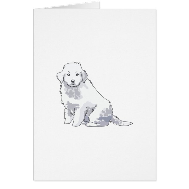 Cartão PYRENEES DE excelente (Frente)