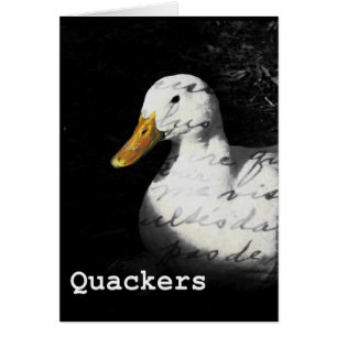 Cartão Quackers