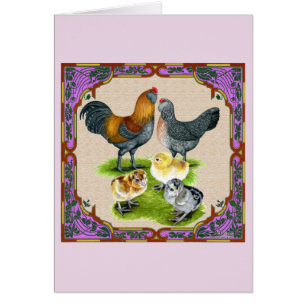 Cartão Quadro da família Ameraucana