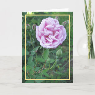 Cartão Quadro de Ouro roxo, cor-de-rosa, moderno