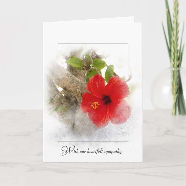 Cartão quadro de simpatia de hibisco vermelho (Frente)