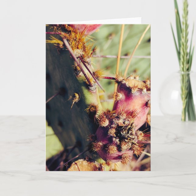 Cartão Quadro de Título de Texturas SW (Frente)