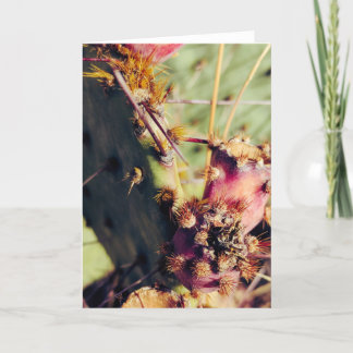 Cartão Quadro de Título de Texturas SW