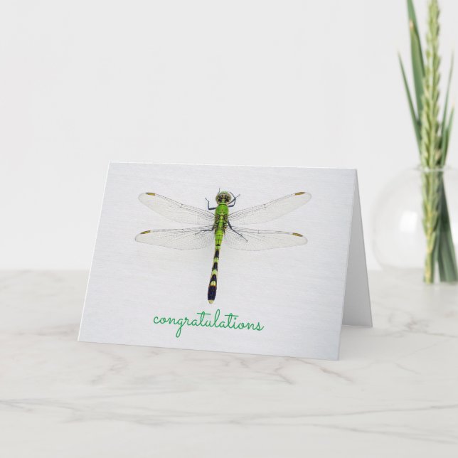 Cartão Qualquer Parabéns de Ocasião com Dragonfly (Frente)