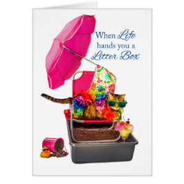 Cartão Quando a vida lhe entrega a caixa de maca gato