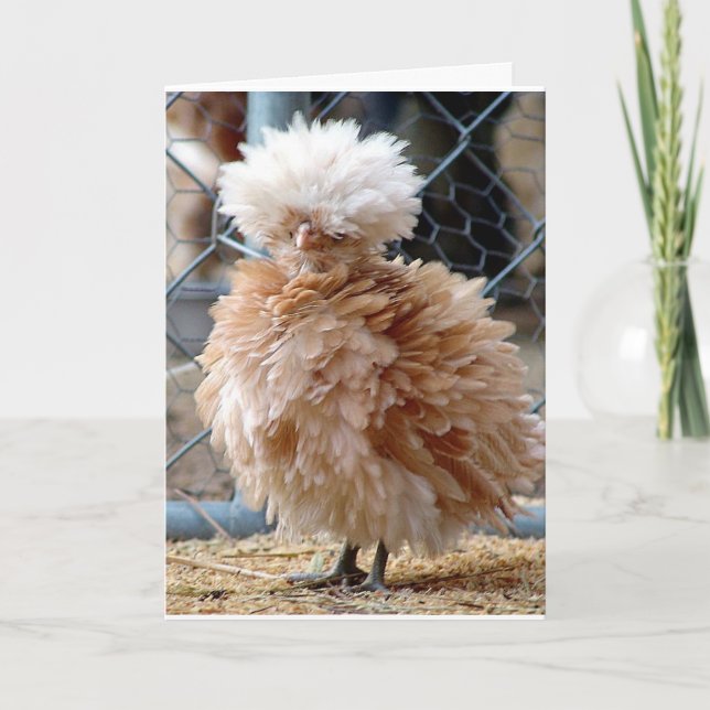 CARTÃO QUANDO DOENTE COME UM HAMBURGER ***NÃO SOPA DE FRA (Frente)