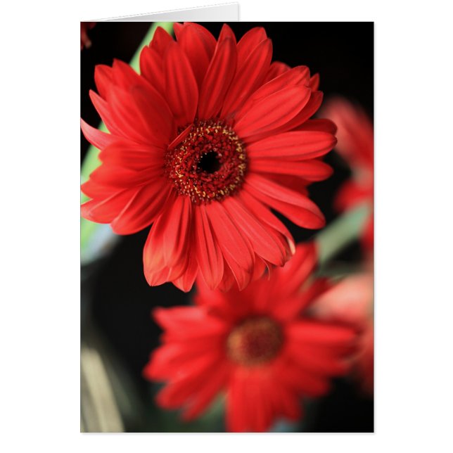 Cartão Quando eu tive um caso (Frente)