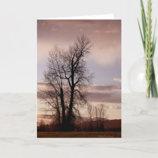 Cartão Quando o dia acabar