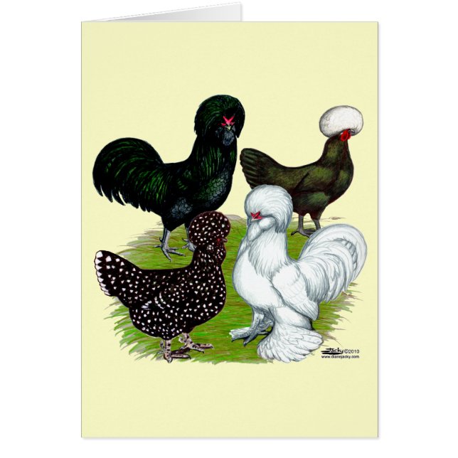 Cartão Quarteto de frango com chapéu superior (Frente)