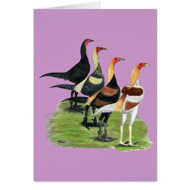 Cartão Quarteto de Jogos Modernos (Frente)