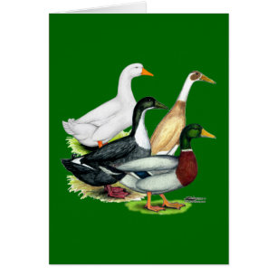 Cartão Quarteto do pato