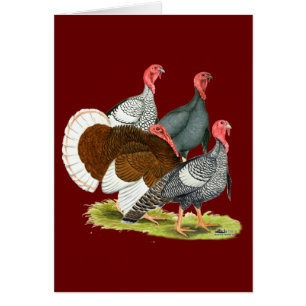 Cartão Quarteto Rara Turquia