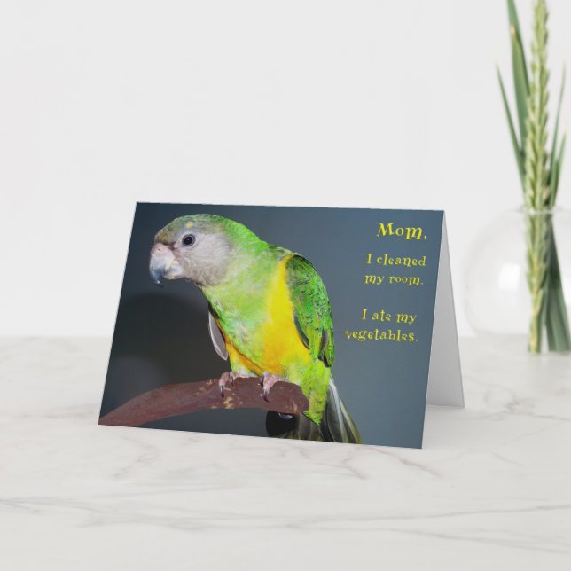 Cartão Quarto desinfetado (Frente)